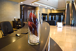 POWER AND BEAUTY CHARITY EVENT